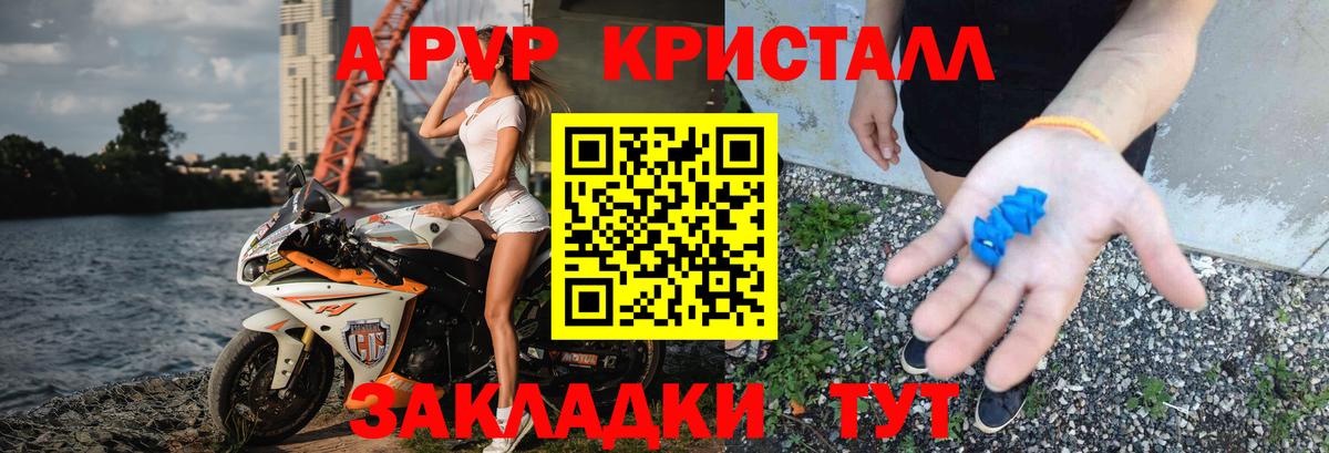 Alfa_PVP СК Губкин