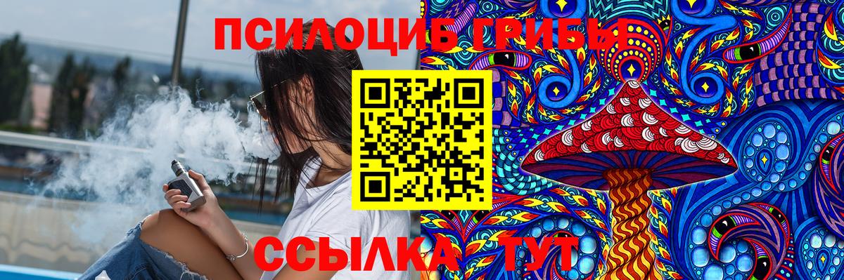 Псилоцибиновые грибы MAGIC MUSHROOMS Губкин