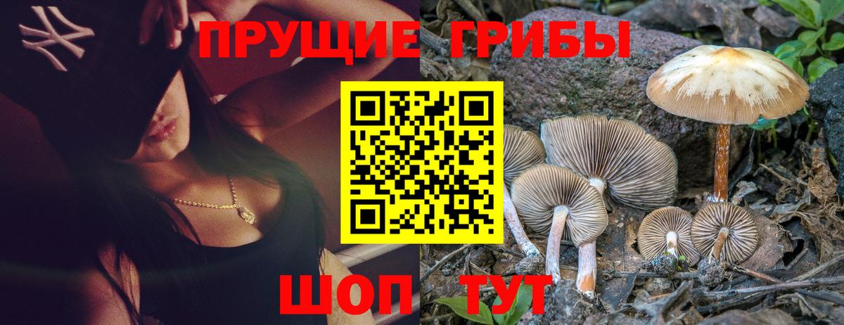 Псилоцибиновые грибы GOLDEN TEACHER Губкин