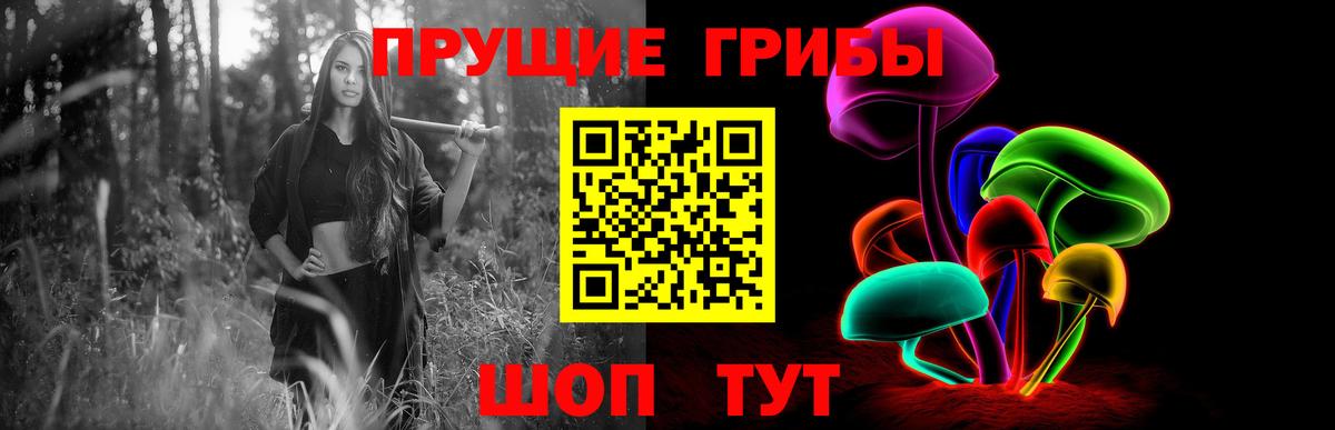 Губкин  Псилоцибиновые грибы ЛСД  Галлюциногенные грибы прущие грибы  Вход с VPN 